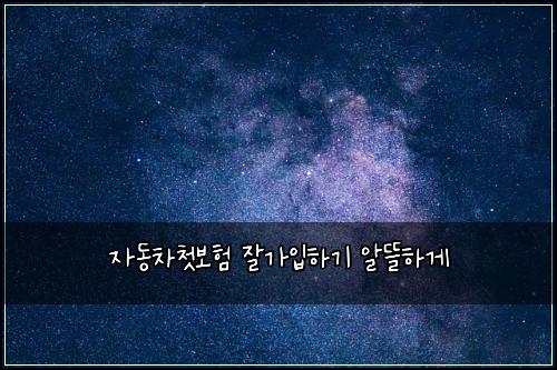 자동차첫보험 잘가입하기  알뜰하게