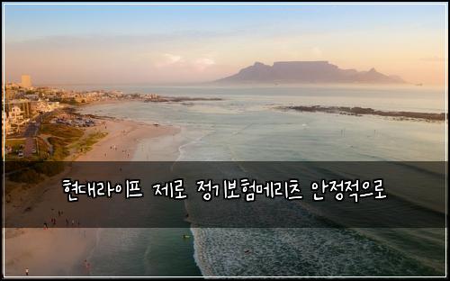 현대라이프 제로 정기보험메리츠 안정적으로