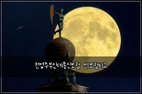 전업주부인데종신보험 싼보험비교 