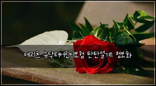 메리츠 뉴닥터어린이보험 탄탄설계  정보화