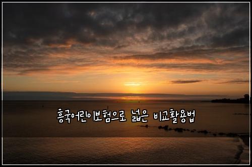 ํฅ๊ตญ์ด๋ฆฐ์ด๋ณดํ์ผ๋ก ๋์ ๋น๊ตํ์ฉ๋ฒ