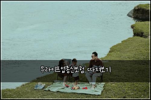 무라이프업종신보험 따져보기