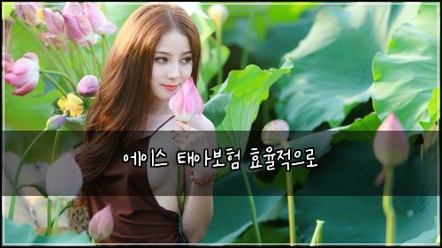 에이스 태아보험 효율적으로 
