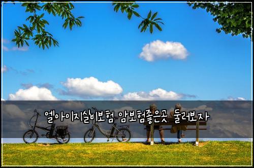 엘아이지실비보험 암보험좋은곳 둘러보자