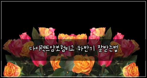 ๋ค์ด๋ ํธ์๋ณดํ๋น๊ต ํ๋ฐ๊ธฐ ์๋ฐ๋๋ฒ