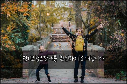 정기보험보장내용 확인하기 소개합니다