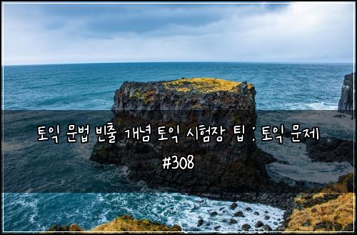 토익 문법 빈출 개념 토익 시험장 팁 : 토익 문제 #308