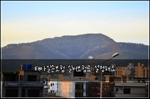 태아실손보험 실버보험료 설정해요