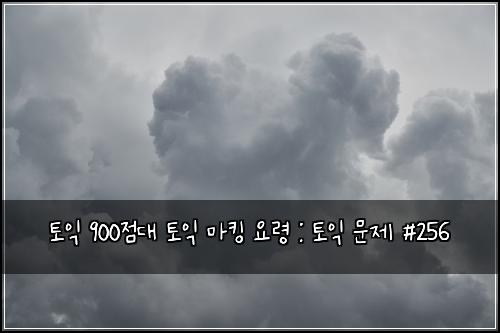토익 900점대 토익 마킹 요령 : 토익 문제 #256