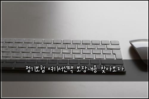 정기보험 여기서선택  보장내용 찾아보자