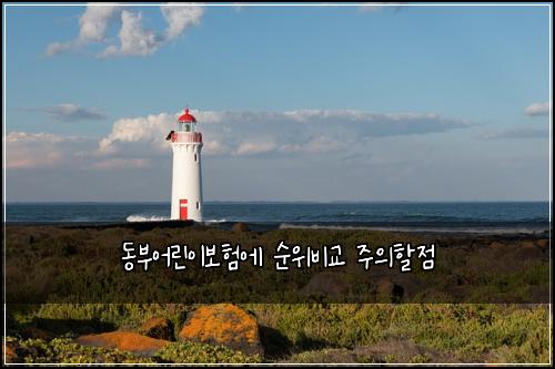 동부어린이보험에 순위비교 주의할점