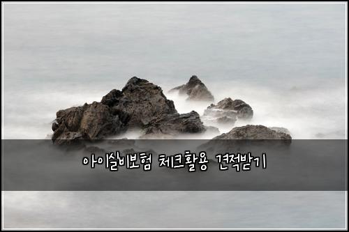 아이실비보험 체크활용  견적받기