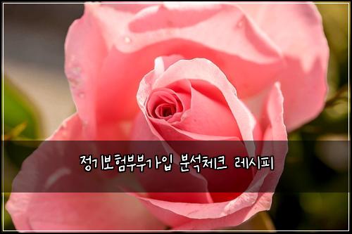 ์ ๊ธฐ๋ณดํ๋ถ๋ถ๊ฐ์
๋ถ์์ฒดํฌ ๋ ์ํผ