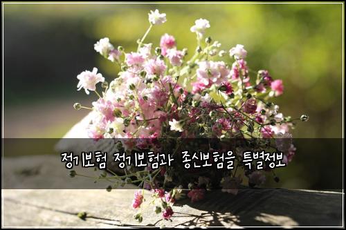 ์ ๊ธฐ๋ณดํ ์ ๊ธฐ๋ณดํ๊ณผ ์ข
์ ๋ณดํ์ ํน๋ณ์ ๋ณด