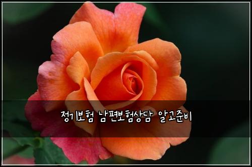 정기보험 남편보험상담 알고준비