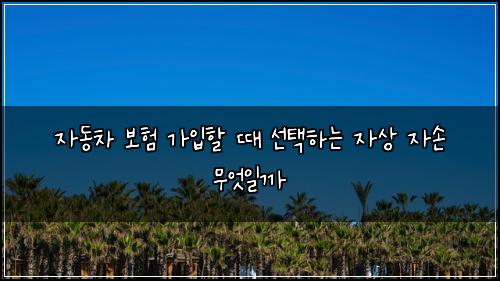자동차 보험 가입할 때 선택하는 자상 자손 무엇일까