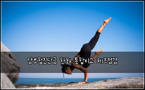 암보험진단금 한화 통합비교 체크점검