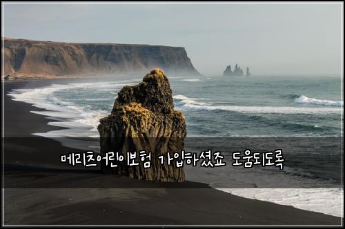메리츠어린이보험 가입하셨죠  도움되도록