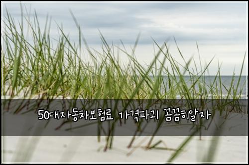 50๋์๋์ฐจ๋ณดํ๋ฃ ๊ฐ๊ฒฉํ๊ดด ๊ผผ๊ผผํ์์