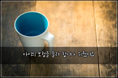 아이의 보험을 들려 합니다 쉬웠어요
