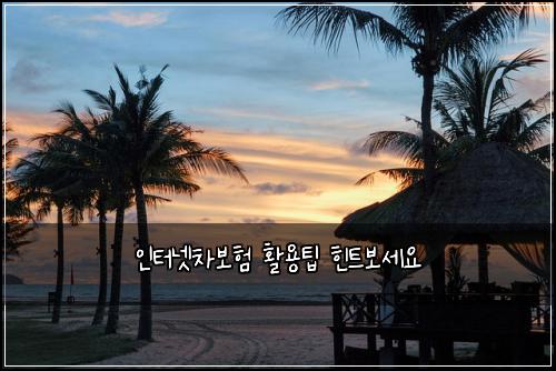인터넷차보험 활용팁  힌트보세요