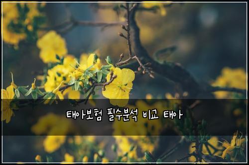 태아보험 필수분석  비교 태아