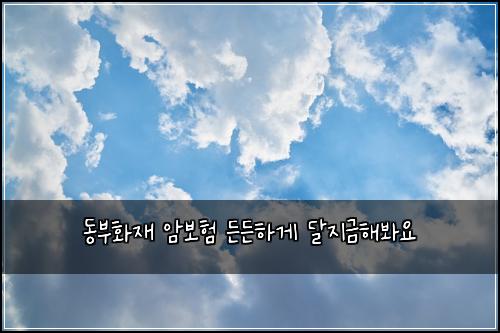 동부화재 암보험 든든하게  달지금해봐요