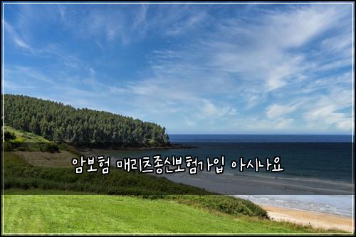 암보험 매리츠종신보험가입 아시나요