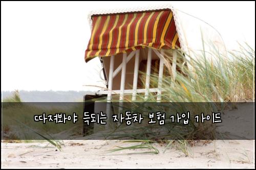 따져봐야 득되는 자동차 보험 가입 가이드