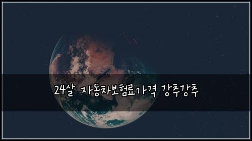 24살 자동차보험료가격 강추강추