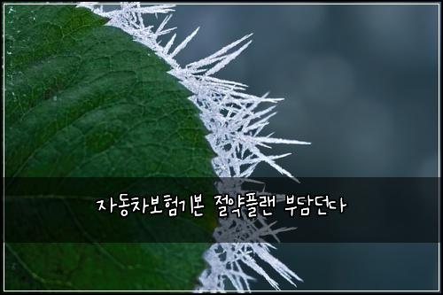 ์๋์ฐจ๋ณดํ๊ธฐ๋ณธ ์ ์ฝํ๋ ๋ถ๋ด๋๋ค