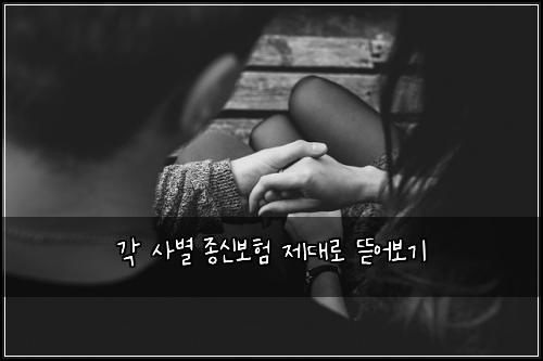 각 사별 종신보험 제대로 뜯어보기
