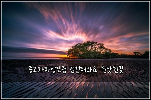 중고차차량보험 점검해봐요  원샷원킬