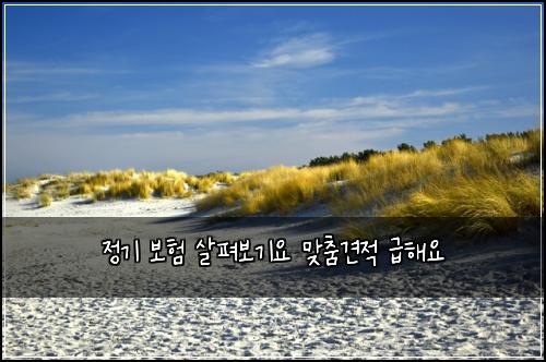 정기 보험 살펴보기요  맞춤견적 급해요