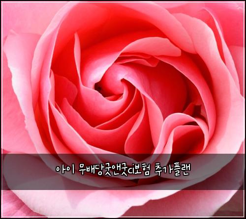 ์์ด ๋ฌด๋ฐฐ๋น๊ตฟ์ค๊ตฟci๋ณดํ ์ถ๊ฐํ๋