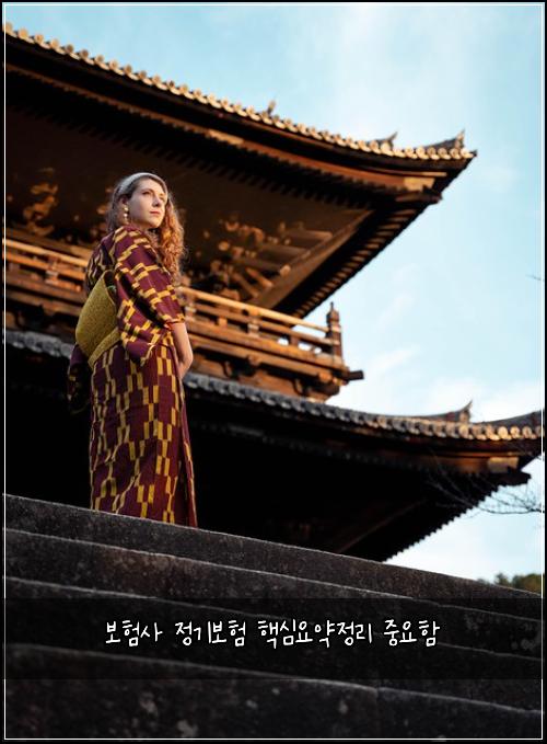 보험사 정기보험 핵심요약정리 중요함