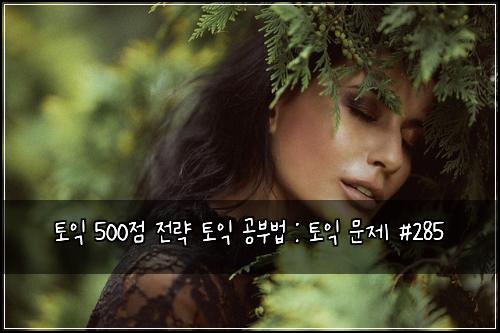 토익 500점 전략 토익 공부법 : 토익 문제 #285