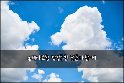qํ์๋ณดํ ๋ฐฉ๋ฒ์ถ์ฒ ์ ๋ฌธ๊ฐํจ๊ป
