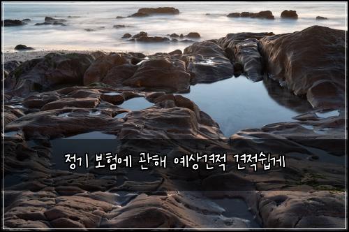 정기 보험에 관해 예상견적 견적쉽게