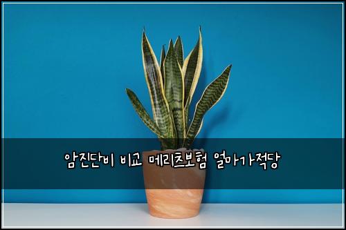 암진단비 비교 메리츠보험 얼마가적당 