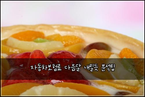 ์๋์ฐจ๋ณดํ๋ฃ ๋ค์๋ฌ ๋ด๋ฆด๋ฏ ๋ถ์ํ