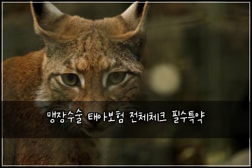 맹장수술 태아보험 전체체크  필수특약