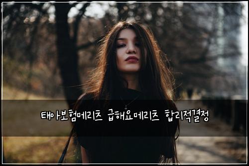 태아보험메리츠 급해요메리츠 합리적결정