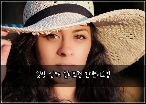 일방 상해 실비보험 간편비교법 