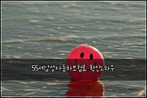 55์ธ๋จ์ฑ์๋์ฐจ๋ณดํ๋ฃ ํ์ธ๋
ธํ์ฐ