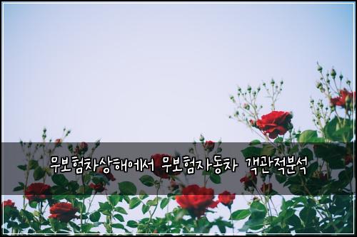 무보νμ°¨μν΄μμ 무보νμλμ°¨ κ°κ΄μ λΆμ