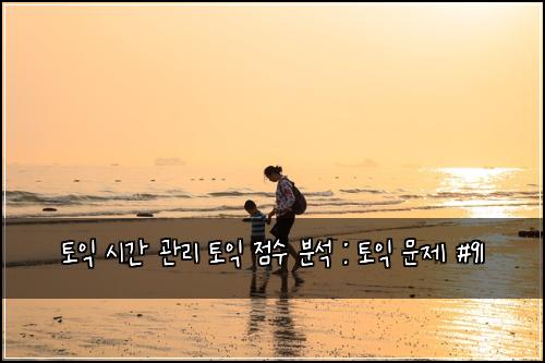 토익 시간 관리 토익 점수 분석 : 토익 문제 #91