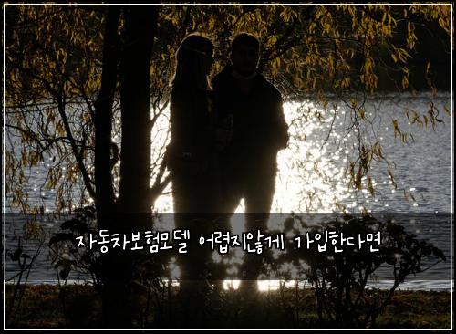 자동차보험모델 어렵지않게 가입한다면