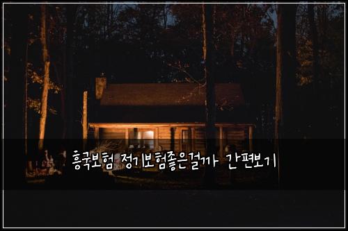 흥국보험 정기보험좋은걸까 간편보기