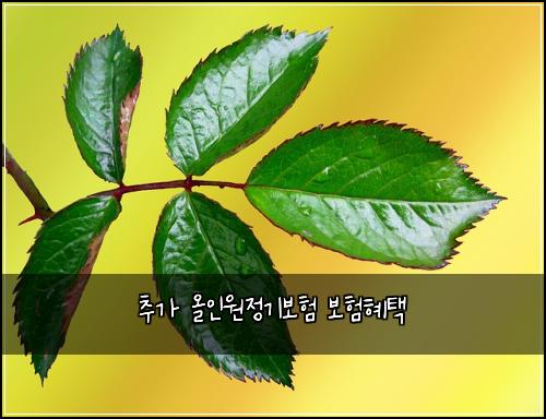 ์ถ๊ฐ ์ฌ์ธ์์ ๊ธฐ๋ณดํ ๋ณดํํํ